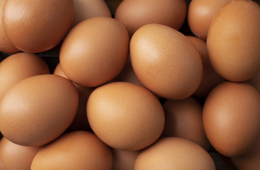 Screening Geral de Antibióticos e a importância de suas análises 
